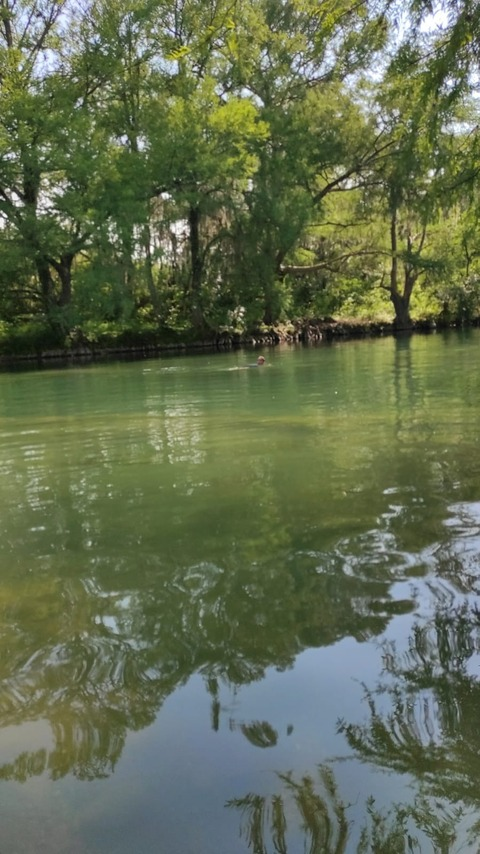 Header of u260848462