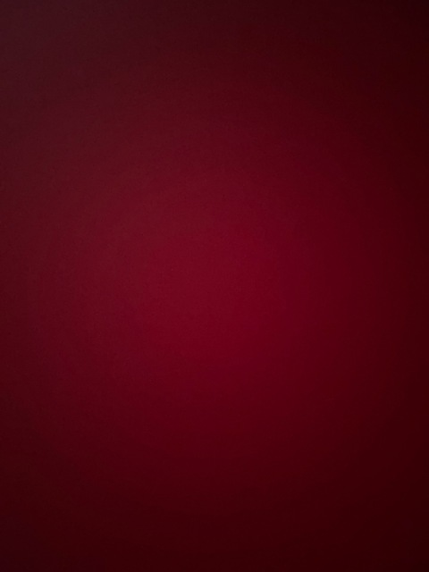 Header of u262474913