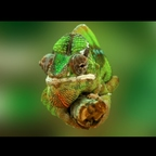 u32559085 OnlyFans Leak 

 profile picture