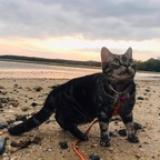 u42032269 (Small mushroom) free OnlyFans Leaked Pictures & Videos 

 profile picture