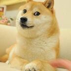 u50599898 OnlyFans Leaks 

 profile picture