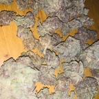 u55254831 OnlyFans Leak 

 profile picture