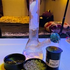 u95514588 OnlyFans Leaks 

 profile picture