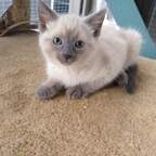 Free access to umustbekidding Leak OnlyFans 

 profile picture