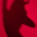 Free access to whywhynotty Leaks OnlyFans 

 profile picture