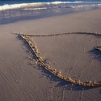 wisdom OnlyFans Leaked 

 profile picture