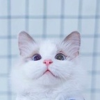 Download x03_02 OnlyFans content for free 

 profile picture