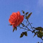 Onlyfans leaks xxxibgdrgn 

 profile picture