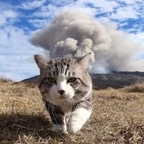 Free access to @xxxyuri Leak OnlyFans 

 profile picture