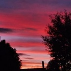 Onlyfans leaked yarella 

 profile picture