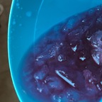 Onlyfans leak yayadiaz 

 profile picture