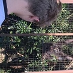 jeff @yungpeppermint Leaks OnlyFans 

 profile picture