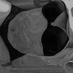 yunuen OnlyFans Leak 

 profile picture