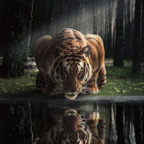 zeekuchiha (Zeek) free OnlyFans Leaked Content 

 profile picture