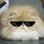 Zippo (@zippos) Leak OnlyFans 

 profile picture